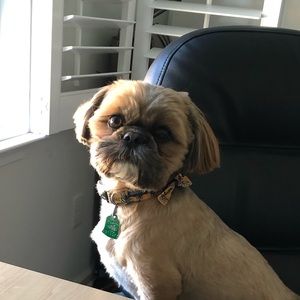 Meet your Posher, Candy